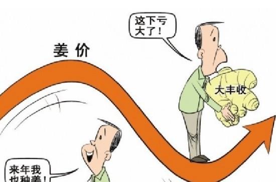 “姜你軍”跌的最狠 是咋回事呢？