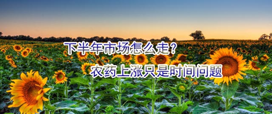 下半年市場怎么走？農(nóng)藥上漲只是時間問題
