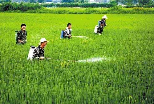 農(nóng)資市場魚龍混雜，抗性真的有宣傳的那么嚴重嗎？