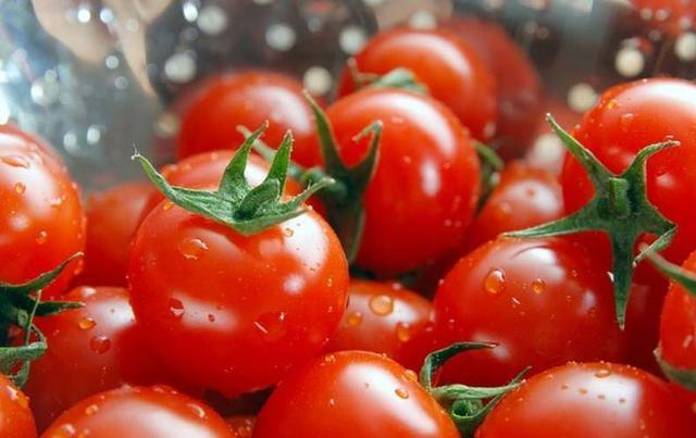 西紅柿、煙草青枯病最新研究發(fā)現(xiàn)“靶向療法”