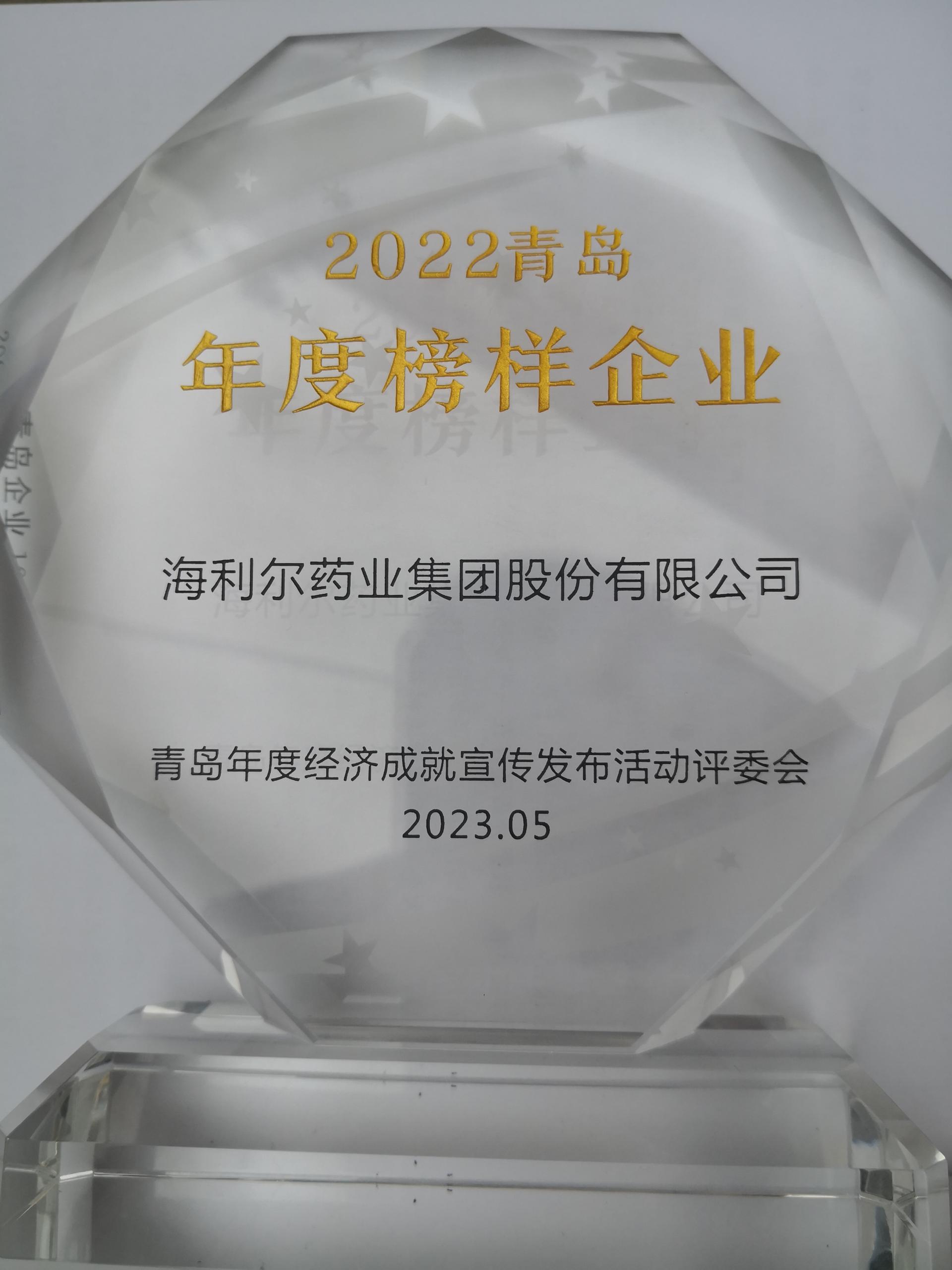 祝賀！集團獲評2022青島年度榜樣企業(yè)
